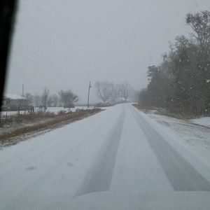 Meet your Posher, Sheila